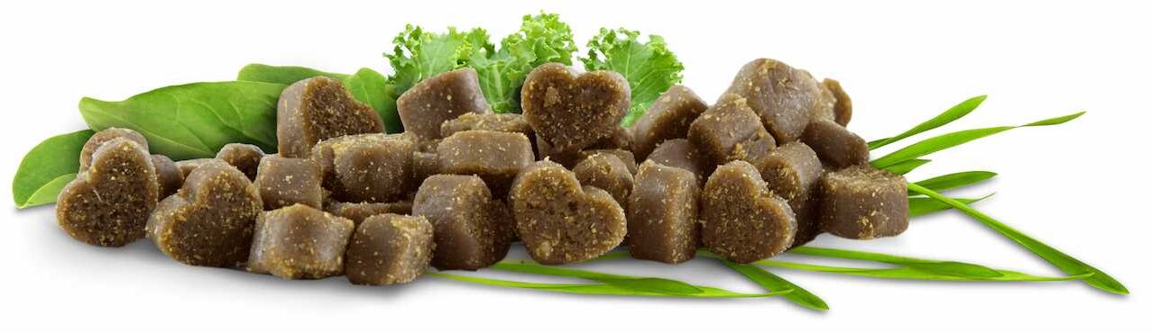 dog treats made with nutritious greens