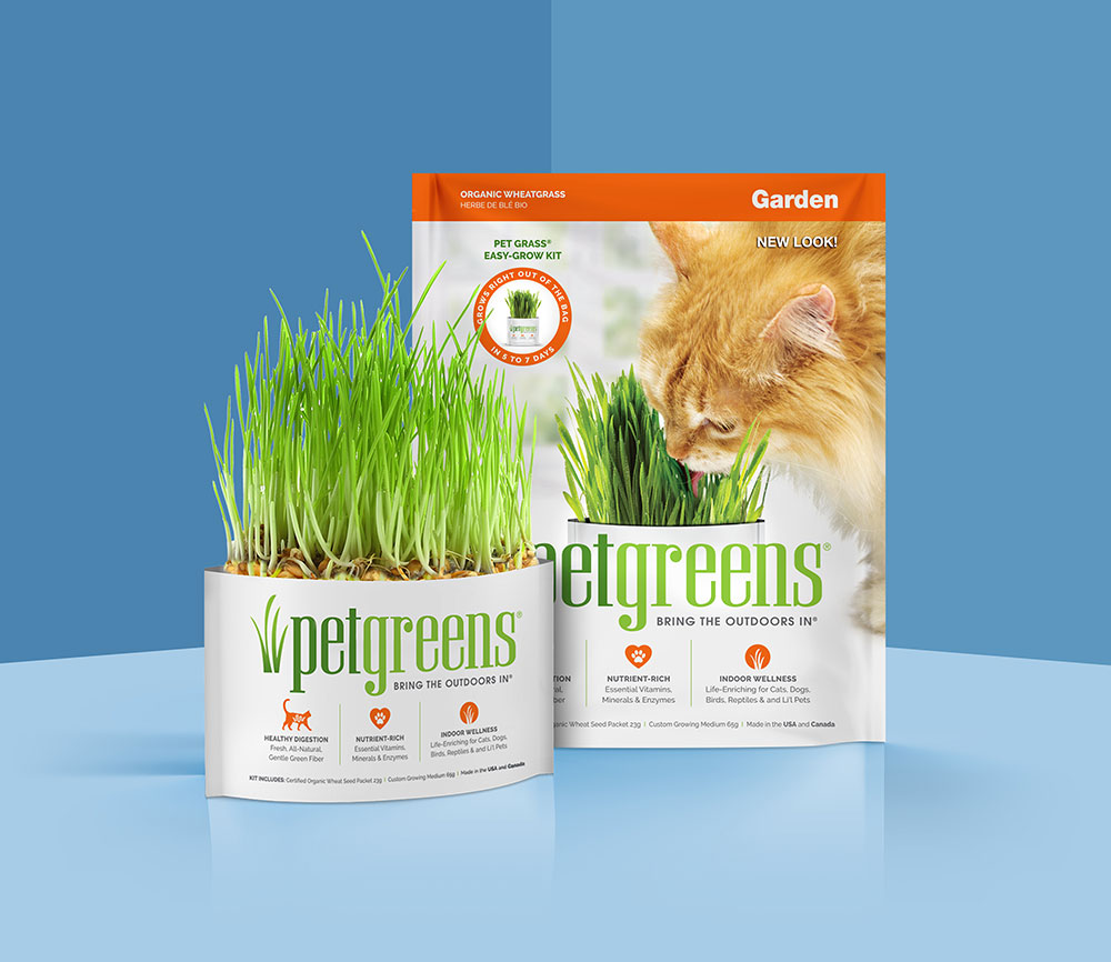 Pet Greens organic wheat grass easy grow kit