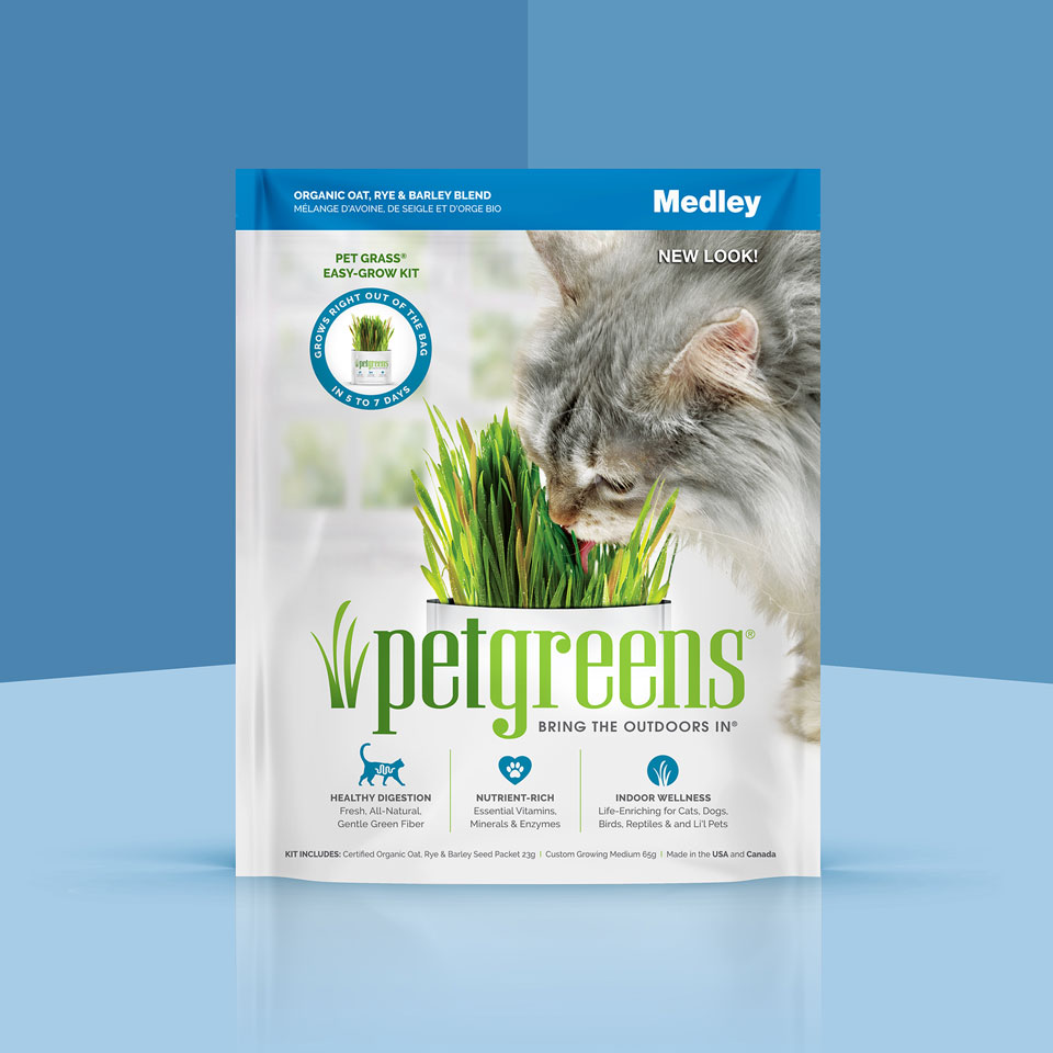 Self-Grow Cat Grass Medley blend