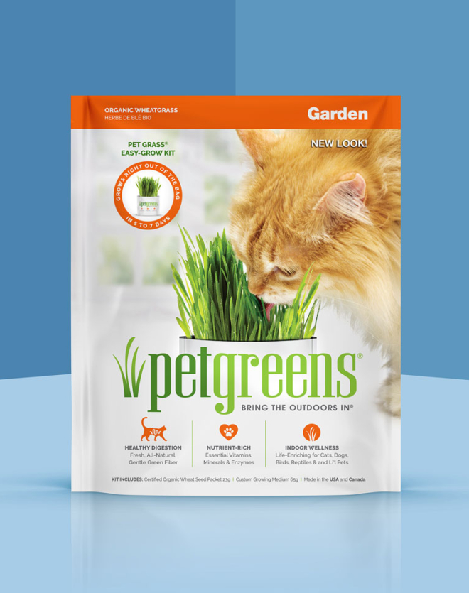 Buy Cat Grass Growing Kit Certified Organic Pet Greens