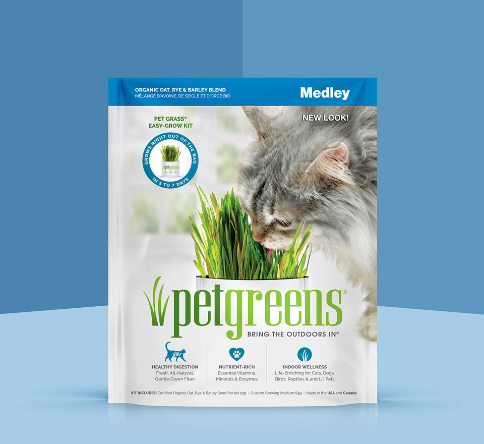 Self-Grow Cat Grass Medley blend