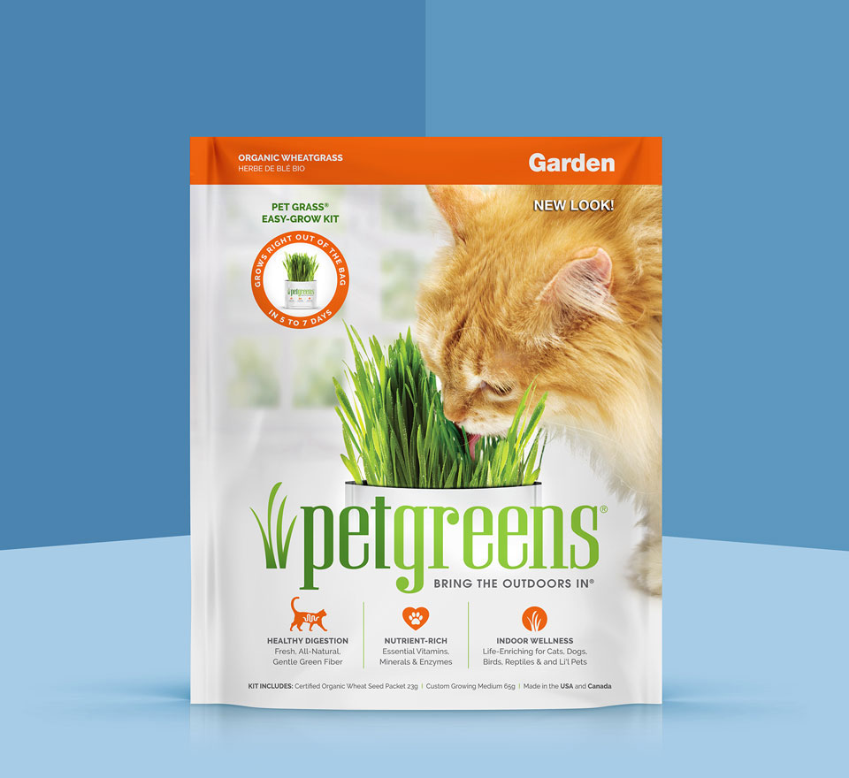 Self-Grow Cat Grass Wheatgrass