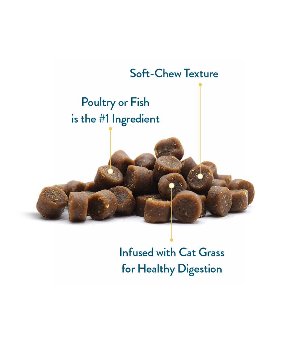 cat treats diagram