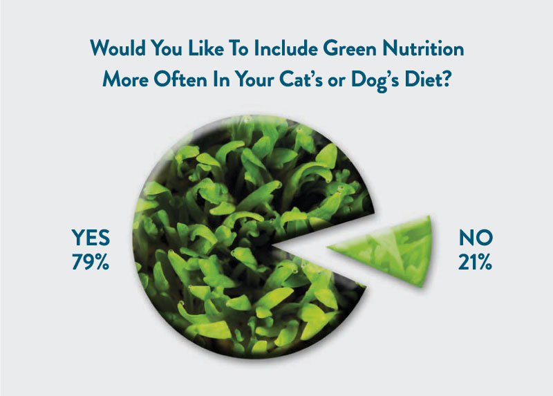 pie chart showing people want more greens in their pets diet