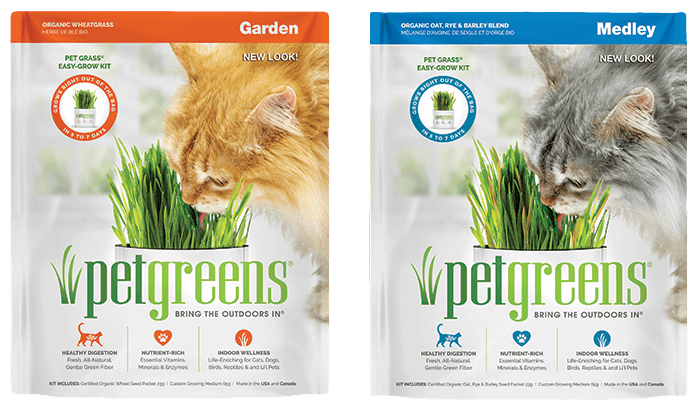 Pet Greens self grow kits